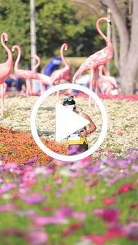 BIB:  <button type="button" onclick="openModal(27588532)" class="btn btn-primary btn-sm float-right" data-toggle="modal" data-target=".modal-high-quality">
                <i class="fa fa-download"></i> Download
                </button>